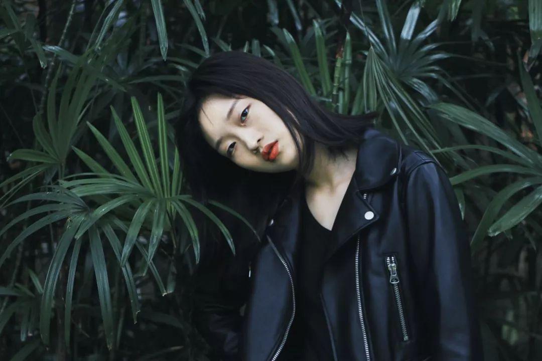 创作猫